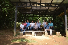 Guayabo