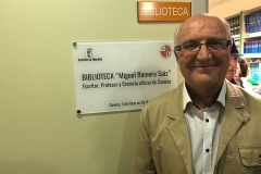 Biblioteca Miguel Romero VIII