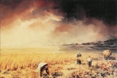 Miguel Romero